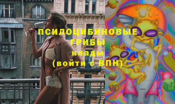 каннабис Новокубанск