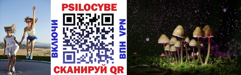 где продают наркотики  Кувандык  Псилоцибиновые грибы прущие грибы 