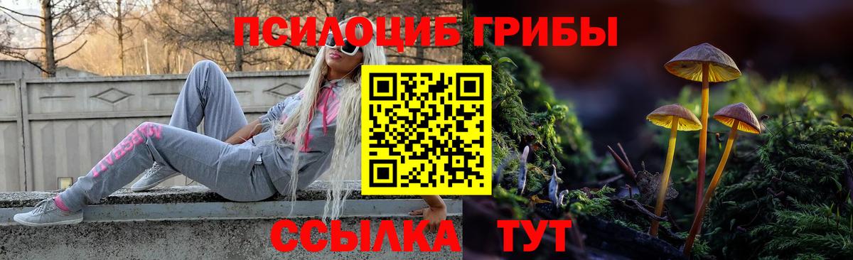 Псилоцибиновые грибы GOLDEN TEACHER  Кувандык 