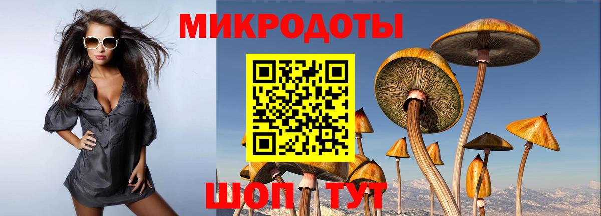 Псилоцибиновые грибы Psilocybe  Вход с VPN  Кувандык 